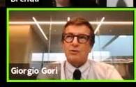 gori-2.jpeg
